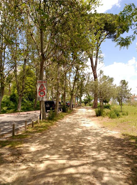 cruising casa campo|CRUISING .